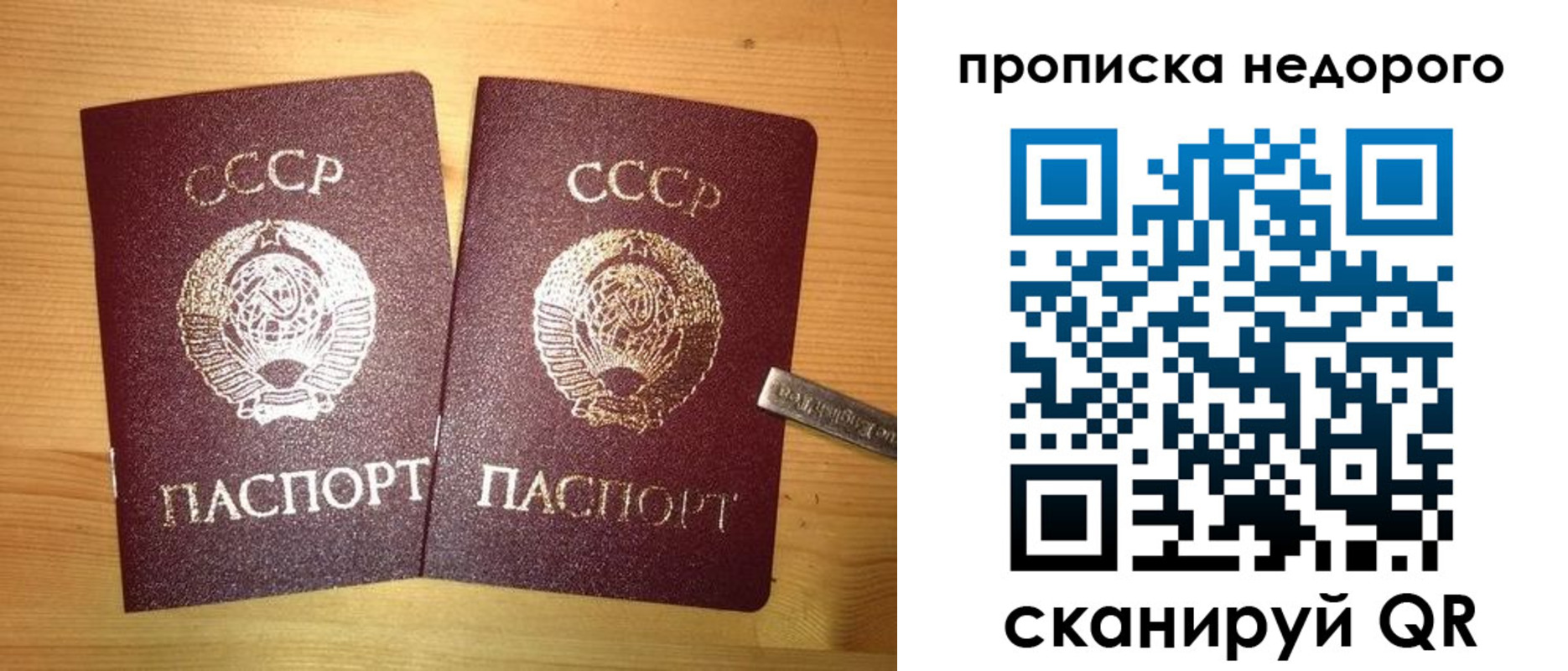 временная регистрация гарантия в Выборге